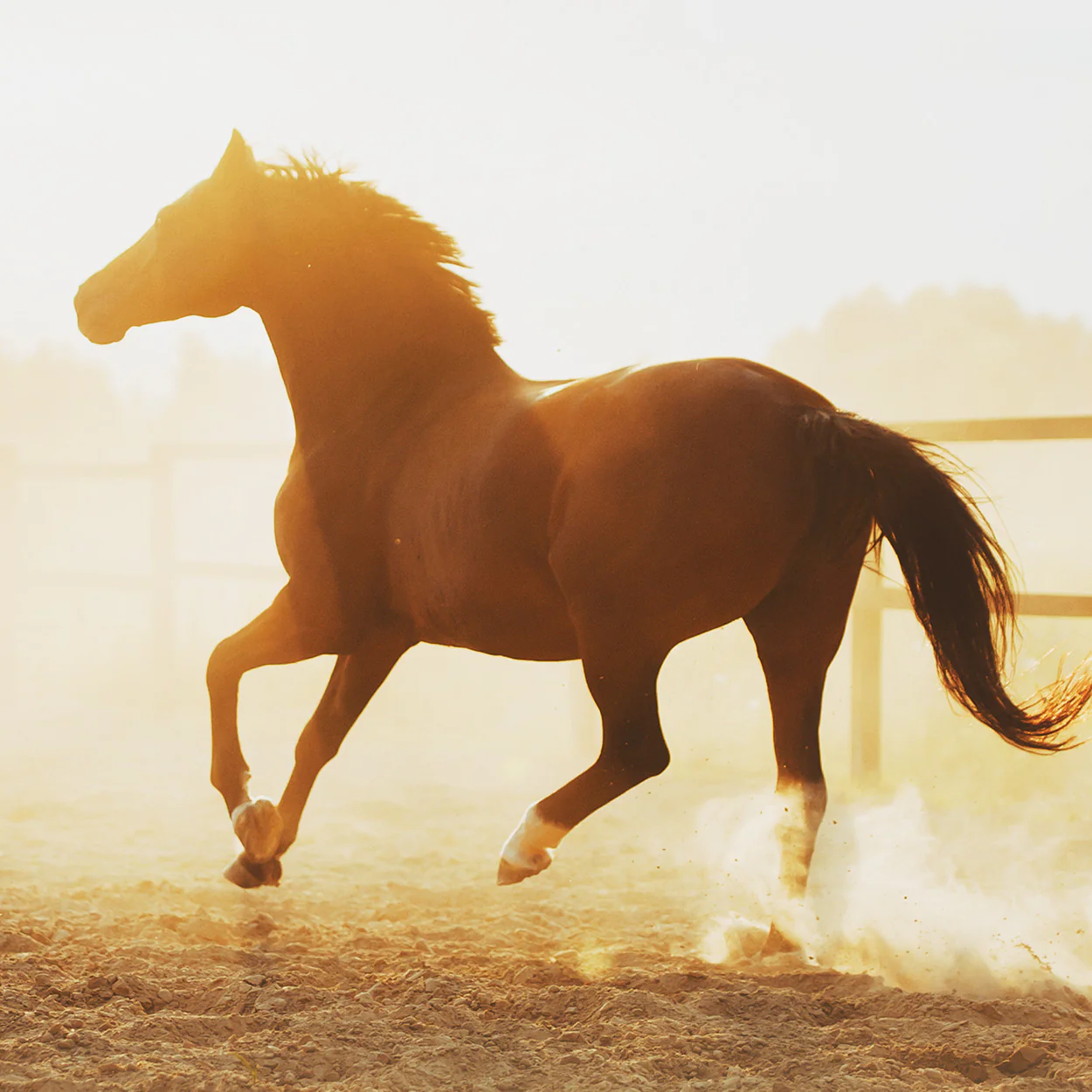 Ride More, Spend Less