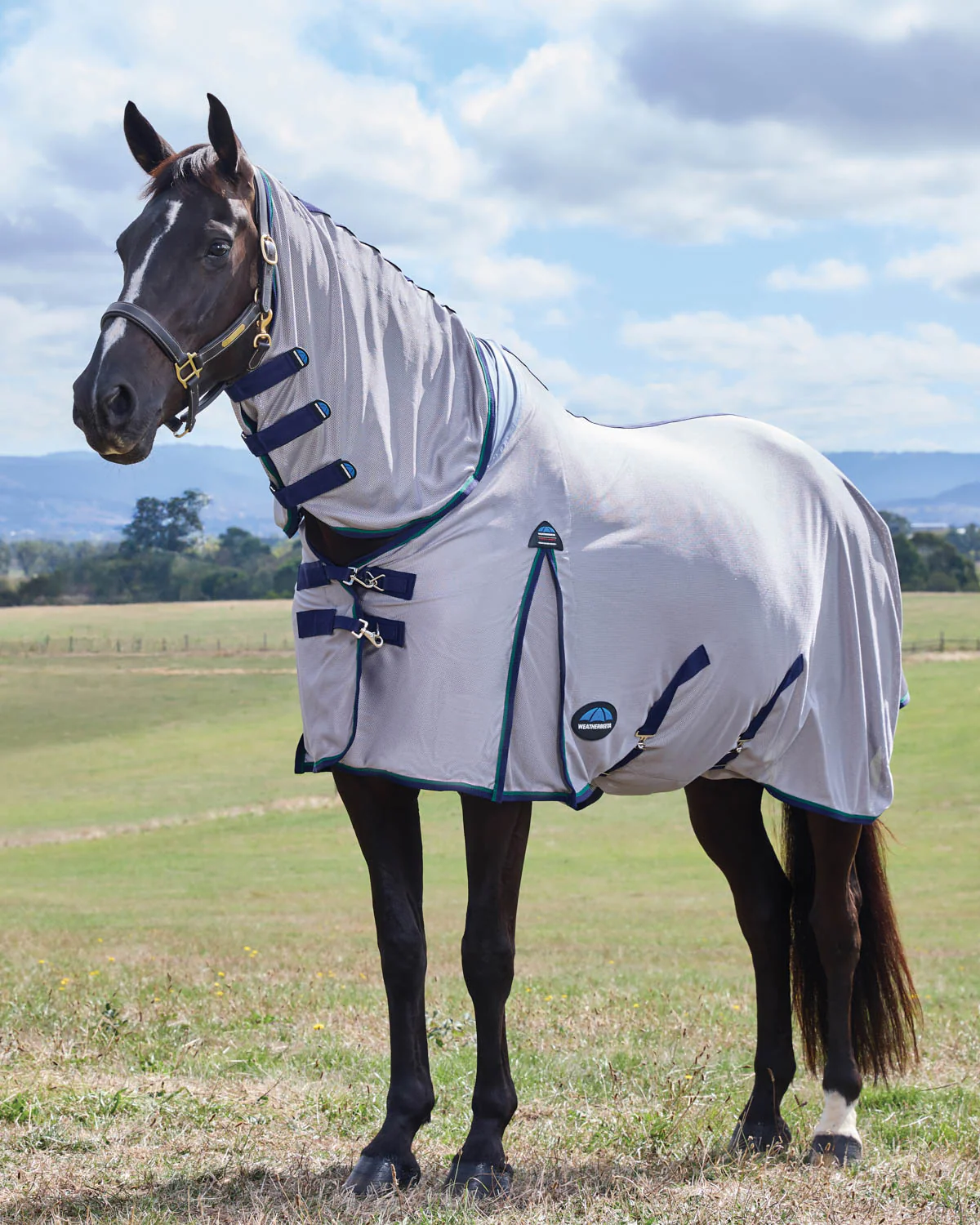 Horse Blankets